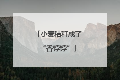 小麦秸秆成了“香饽饽”