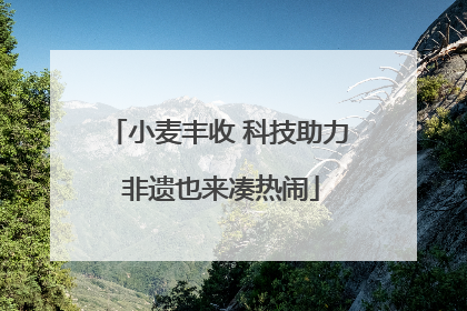 小麦丰收 科技助力 非遗也来凑热闹