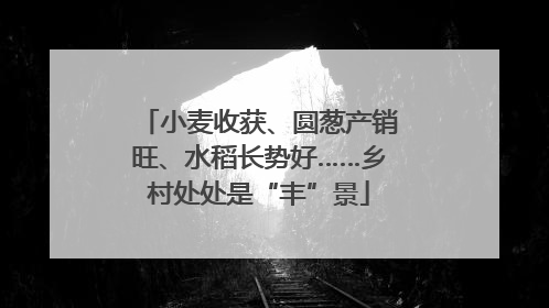 小麦收获、圆葱产销旺、水稻长势好……乡村处处是“丰”景