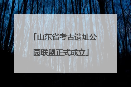 山东省考古遗址公园联盟正式成立