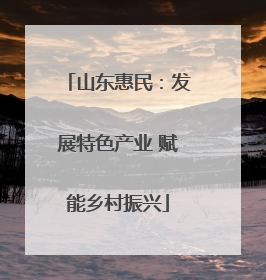 山东惠民：发展特色产业 赋能乡村振兴