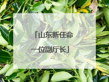 山东新任命一位副厅长