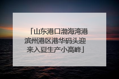 山东港口渤海湾港滨州港区港华码头迎来入夏生产小高峰