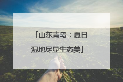 山东青岛：夏日湿地尽显生态美