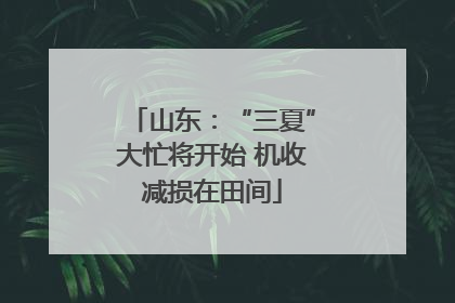 山东：“三夏”大忙将开始 机收减损在田间