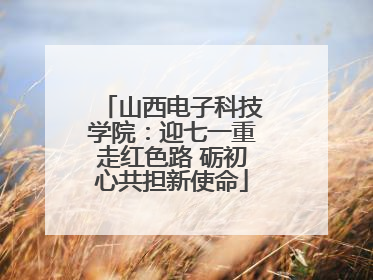 山西电子科技学院：迎七一重走红色路 砺初心共担新使命