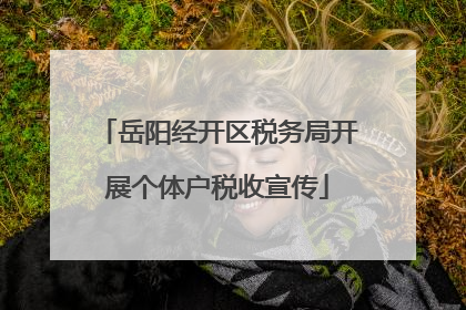 岳阳经开区税务局开展个体户税收宣传