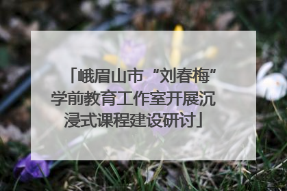 峨眉山市“刘春梅”学前教育工作室开展沉浸式课程建设研讨