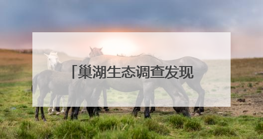 巢湖生态调查发现多种新记录物种