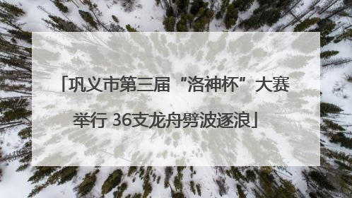 巩义市第三届“洛神杯”大赛举行 36支龙舟劈波逐浪