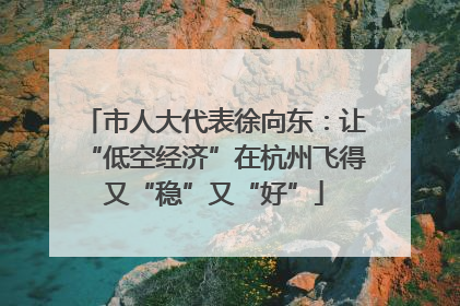 市人大代表徐向东：让“低空经济”在杭州飞得又“稳”又“好”