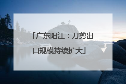广东阳江：刀剪出口规模持续扩大
