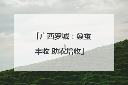 广西罗城：桑蚕丰收 助农增收