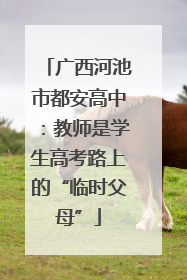 广西河池市都安高中：教师是学生高考路上的“临时父母”