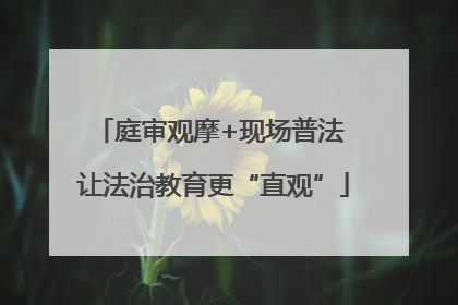庭审观摩+现场普法 让法治教育更“直观”