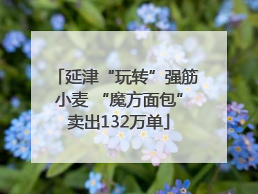延津“玩转”强筋小麦 “魔方面包”卖出132万单