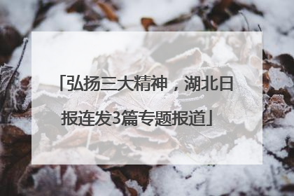 弘扬三大精神，湖北日报连发3篇专题报道