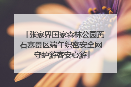 张家界国家森林公园黄石寨景区端午织密安全网 守护游客安心游