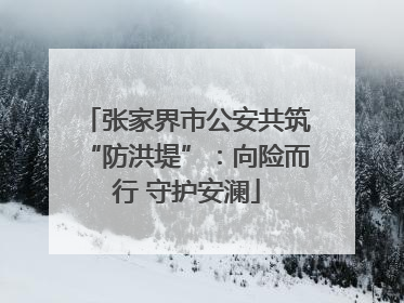 张家界市公安共筑“防洪堤”：向险而行 守护安澜