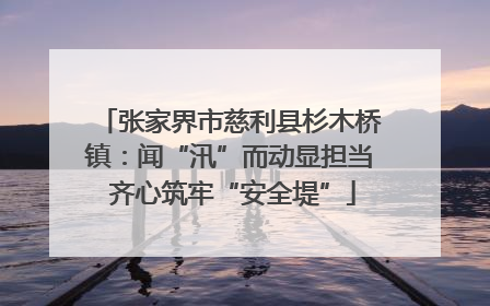 张家界市慈利县杉木桥镇：闻“汛”而动显担当 齐心筑牢“安全堤”
