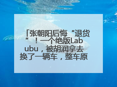 张朝阳后悔“退货”！一个绝版Labubu，被胡润拿去换了一辆车，整车原价值上百万元