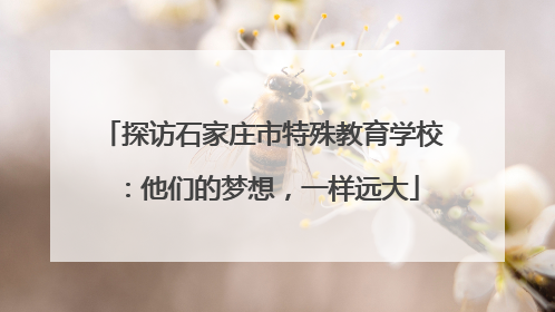 探访石家庄市特殊教育学校：他们的梦想，一样远大