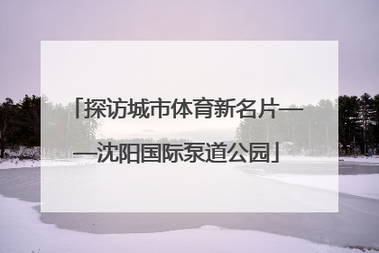 探访城市体育新名片——沈阳国际泵道公园