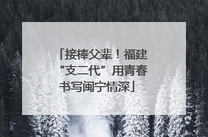 接棒父辈！福建“支二代”用青春书写闽宁情深