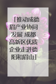 推动成德眉产业协同发展 成都高新区优质企业走进德阳和眉山