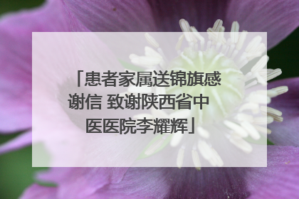 患者家属送锦旗感谢信 致谢陕西省中医医院李耀辉