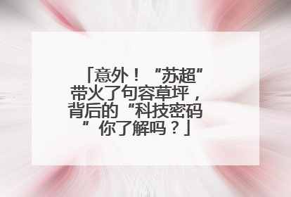 意外！“苏超”带火了句容草坪，背后的“科技密码”你了解吗？