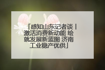 感知山东记者谈丨激活消费新动能 绘就发展新蓝图 济南工业稳产优供