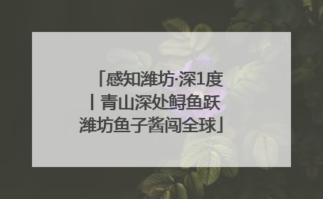 感知潍坊·深1度丨青山深处鲟鱼跃 潍坊鱼子酱闯全球