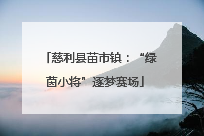 慈利县苗市镇：“绿茵小将”逐梦赛场