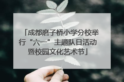 成都磨子桥小学分校举行“六一”主题队日活动暨校园文化艺术节
