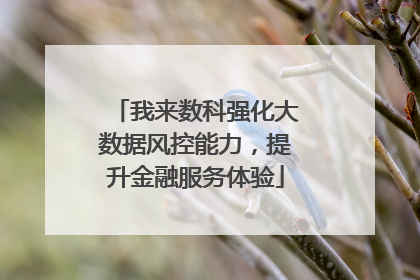 我来数科强化大数据风控能力，提升金融服务体验