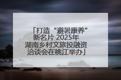 打造“避暑康养”新名片 2025年湖南乡村文旅投融资洽谈会在桃江举办