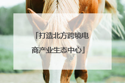 打造北方跨境电商产业生态中心