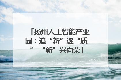 扬州人工智能产业园：追“新”逐“质” “新”兴向荣