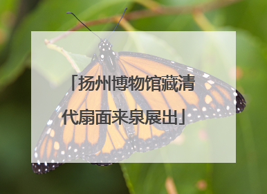 扬州博物馆藏清代扇面来泉展出