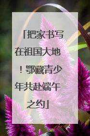 把家书写在祖国大地！鄂藏青少年共赴端午之约