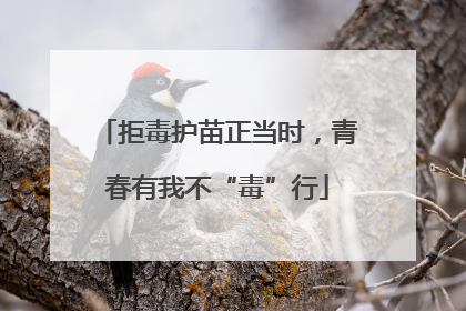 拒毒护苗正当时，青春有我不“毒”行