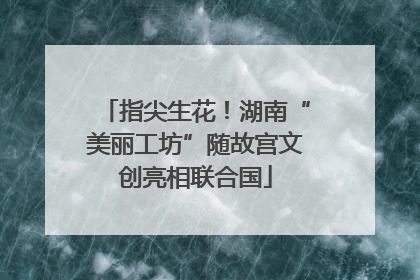 指尖生花！湖南“美丽工坊”随故宫文创亮相联合国