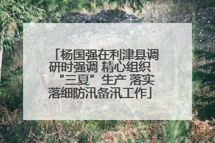 杨国强在利津县调研时强调 精心组织“三夏”生产 落实落细防汛备汛工作