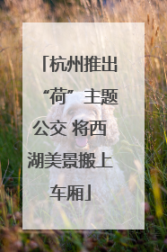 杭州推出“荷”主题公交 将西湖美景搬上车厢