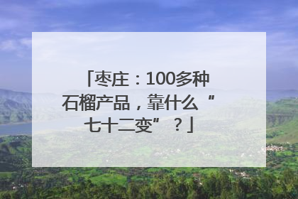枣庄：100多种石榴产品，靠什么“七十二变”？