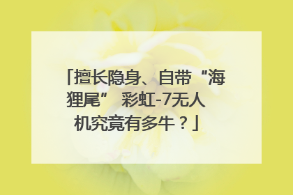 擅长隐身、自带“海狸尾” 彩虹-7无人机究竟有多牛？