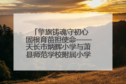 擎旗铸魂守初心 固根育苗担使命——天长市炳辉小学与萧县师范学校附属小学结对共建活动纪实