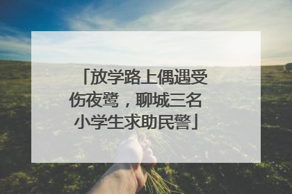 放学路上偶遇受伤夜鹭，聊城三名小学生求助民警