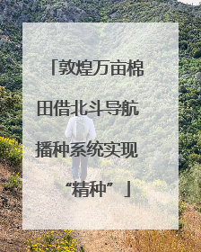 敦煌万亩棉田借北斗导航播种系统实现“精种”
